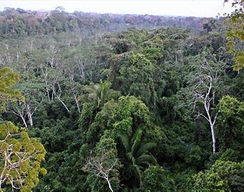 Image result for parque nacional de Manu péru photos