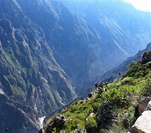Image result for canon del colca